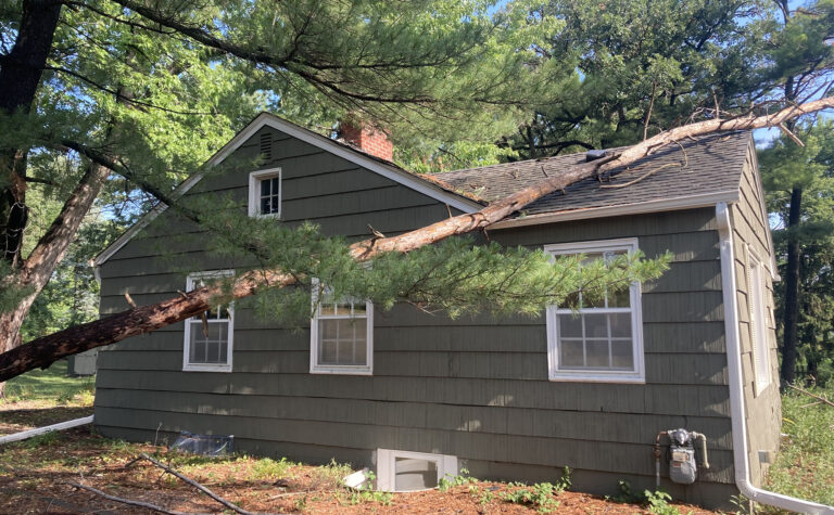 Storm Damage to a roof