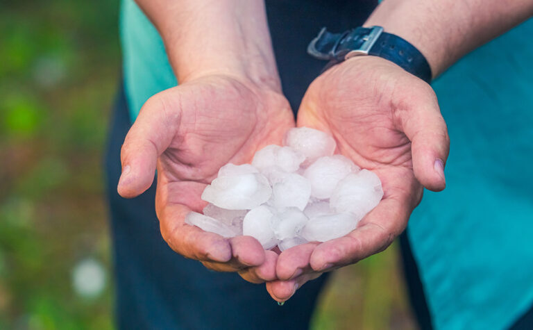 Hands holding large hail from a storm